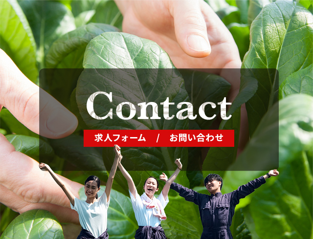 sp_banner_contact_bg